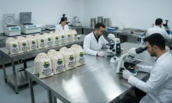 Bursa’da çiftçinin maliyetini azaltacak ücretsiz destek! 980 numune analiz edildi