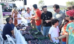 Bursa'da İncir Festivali için geri sayım başladı
