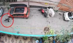 Bursa’da kediye şiddet kamerada! O anlar tepki çekti