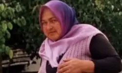 Bursa’da 3 gündür kayıp! 70 kişilik ekip seferber oldu