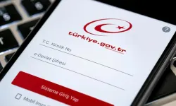 e-Devlet'e araç sahiplerini ilgilendiren yeni hizmet geldi!