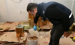 Bursa’da skandal görüntü! Depodan 6,5 ton küflü gıda çıktı
