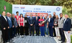 Bursa Yıldırım’da sokak hayvanları için farkındalık etkinliği