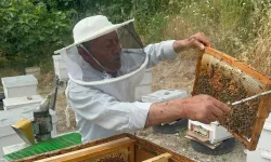Bursa'dan Avrupa'ya gönderiyor! Emekli başgardiyanın 50 yıllık arıcılık hikayesi