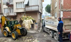 Bursa’da boş arsaya 10 tondan fazla karnabahar döküldü