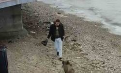 Yiyecek ararken sahile kadar indi, iğneye rağmen durmadı