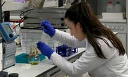 Bursa’da üniversiteden fındık posası projesi! Protein oranı yüzde 80’e çıktı