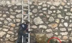 Bursa'da minik kedi için yağmur altında kurtarma operasyonu
