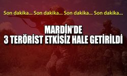 Mardin'de 3 terörist etkisiz hale getirildi