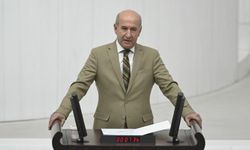 HDP'li vekil süryanice konuşunca meclis karıştı
