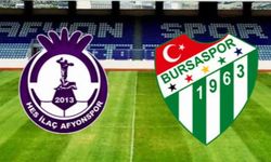 Bursaspor deplasmanda kayıp
