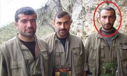 MİT'ten PKK'ya bir darbe daha