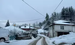 Bartın'da yağan kar 35 köy yolunu kapattı