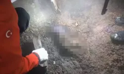 Van'daki ev yangınında 6 aylık Şerzan bebek yanarak can verdi