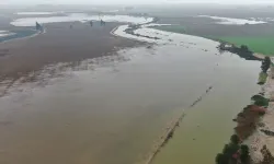Yağışlar Asi Nehri'ni taşırdı tarım arazileri sular altında kaldı