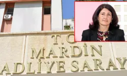 Mardin'de 'KCK davası' sonuçlandı