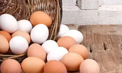 Her gün yumurta yiyenler dikkat