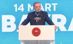 Erdoğan 14 Mart Tıp Bayramı'nda sağlık çalışanlarıyla buluştu