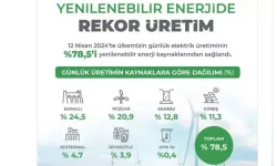 Yenilenebilir enerjide rekor üretim