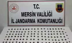 Mersin’de tarihi eser operasyonu