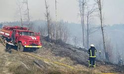Ukrayna’da orman yangını 5 kilometrelik alana yayıldı