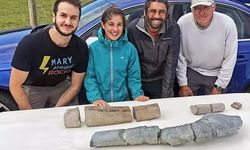 İngiliz kızın bulduğu fosilin 202 milyon yaşında olduğu açıklandı