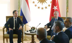 Cumhurbaşkanı Erdoğan Hollanda Başbakanı Rutte'yi kabul etti