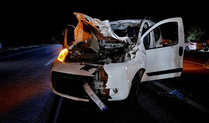 Bingöl'de ata çarpan araçtaki 1 kişi hayatını kaybetti