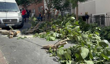 İstanbul'da fırtına: Ağaçlar devrildi, iki kişi yaralandı