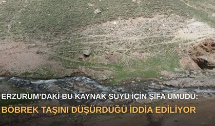 Erzurum’daki bu kaynak suyu için şifa umudu: Böbrek taşını düşürdüğü iddia ediliyor