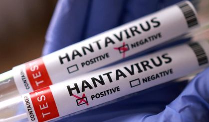 Sağlık Bakanlığı'ndan "hantavirüs" açıklaması! Türkiye'de vaka görüldü mü?