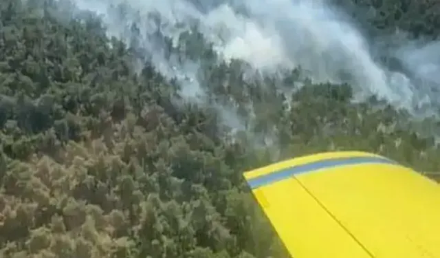 Balıkesir'de 2 ilçede orman yangını!