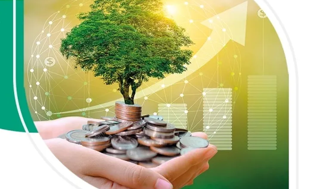 Bankalar yeşil varlık oranını raporlayacak