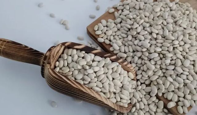 Mart ayının şampiyonu kuru fasulye oldu