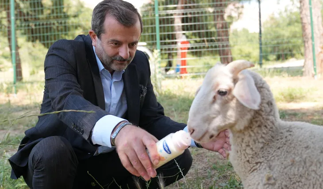 Çocuklar İçin Doğayla Buluşma Noktası