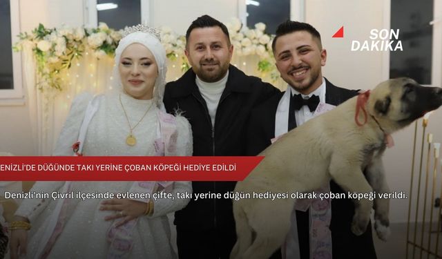 Denizli’de düğünde takı yerine çoban köpeği hediye edildi