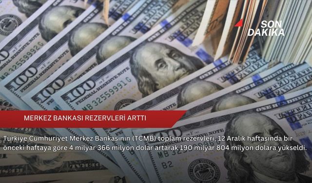 Merkez Bankası rezervleri arttı