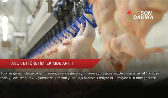 Tavuk eti üretimi ekimde arttı
