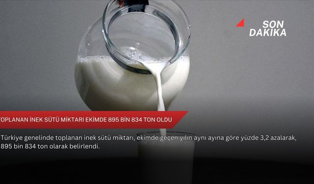 Toplanan inek sütü miktarı ekimde 895 bin 834 ton oldu