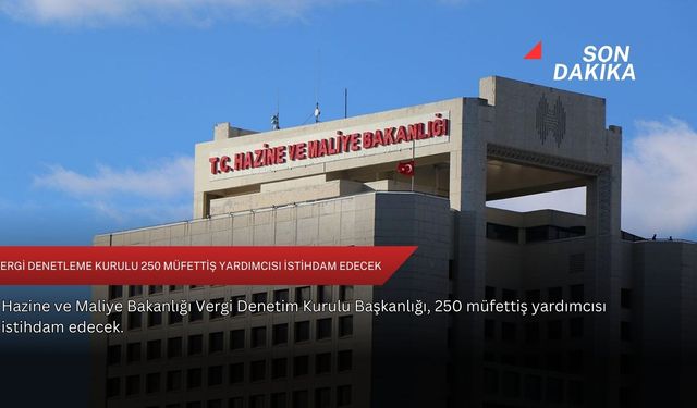 Vergi Denetleme Kurulu 250 müfettiş yardımcısı istihdam edecek