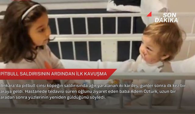 Pitbull saldırısının ardından ilk kavuşma