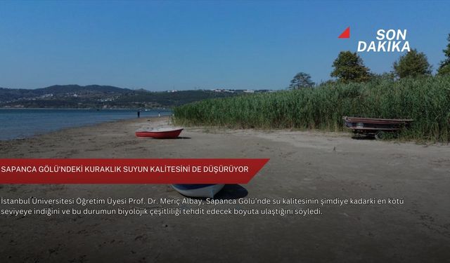 Sapanca Gölü'ndeki kuraklık suyun kalitesini de düşürüyor