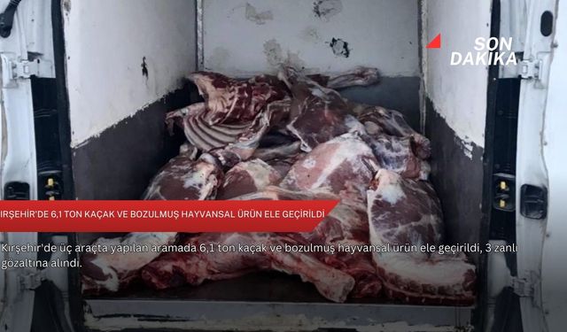 Kırşehir'de 6,1 ton kaçak ve bozulmuş hayvansal ürün ele geçirildi