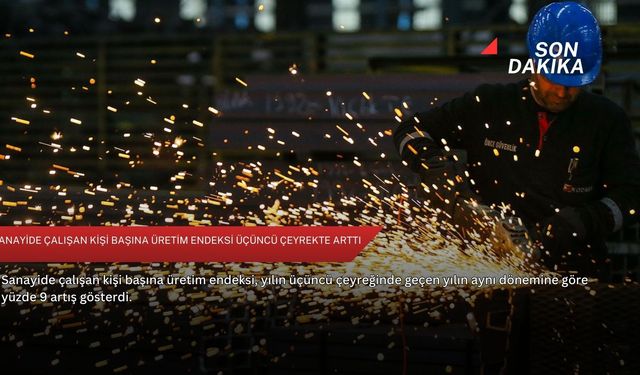 Sanayide çalışan kişi başına üretim endeksi üçüncü çeyrekte arttı