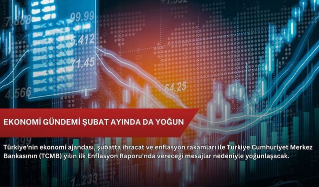 Ekonomi gündemi şubat ayında da yoğun