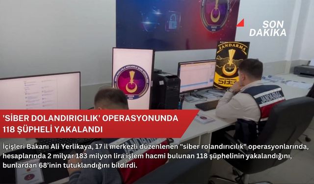 'Siber dolandırıcılık' operasyonunda 118 şüpheli yakalandı