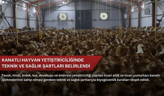 Kanatlı hayvan yetiştiriciliğinde teknik ve sağlık şartları belirlendi