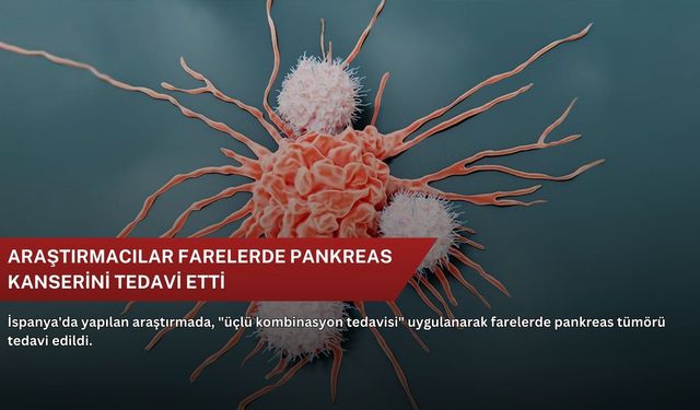 Araştırmacılar farelerde pankreas kanserini tedavi etti
