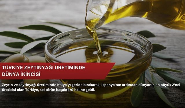 Türkiye zeytinyağı üretiminde dünya ikincisi
