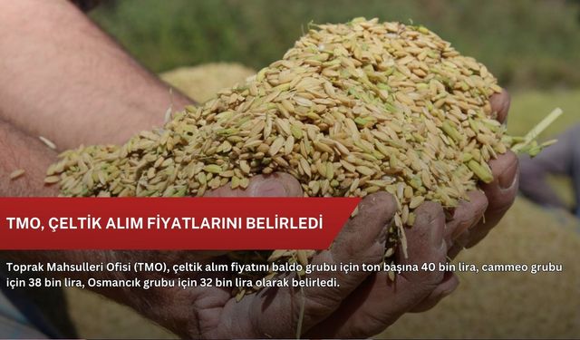 TMO, çeltik alım fiyatlarını belirledi